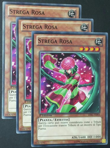 Set strega rosa lval it093 - rosa,