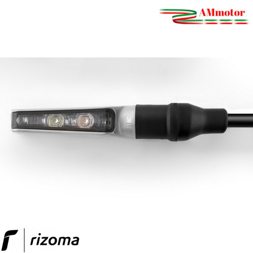 Freccia rizoma corsa - freccia,