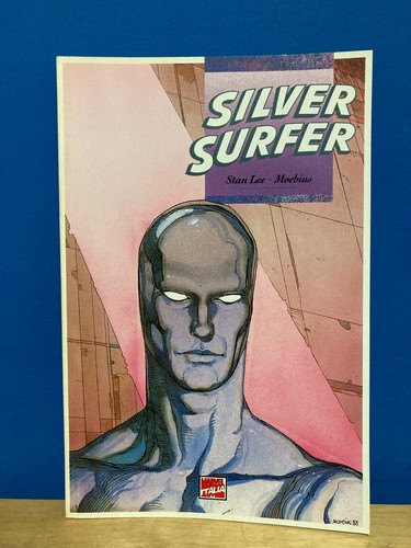 Silver surfer parabola - silver,