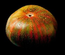 POMODORO CILIEGIA ZEBRATA NERA, 50 semi + OMAGGIO