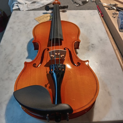 Violino con etichetta archetto - violino,