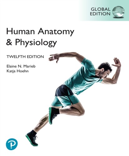 Human anatomy physiology - anatomy, &