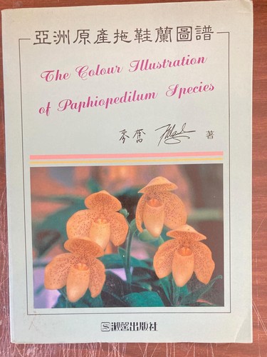 Chinese paphiopedilum orchid - chinese,