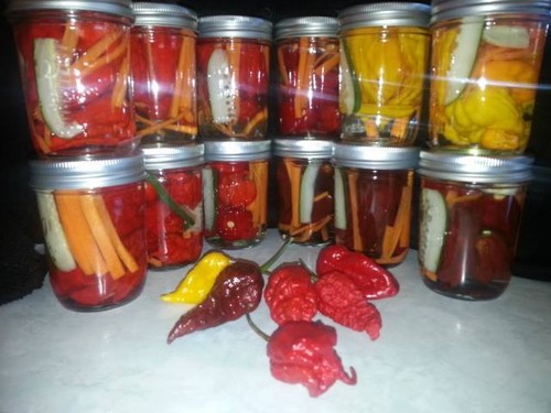 Carolina reaper ghost - carolina, reaper/ghost