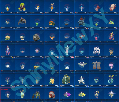 Any every shiny 6iv ribbon - any/every,