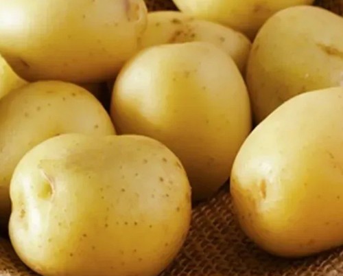 Potato lada seeds g - 0.02,