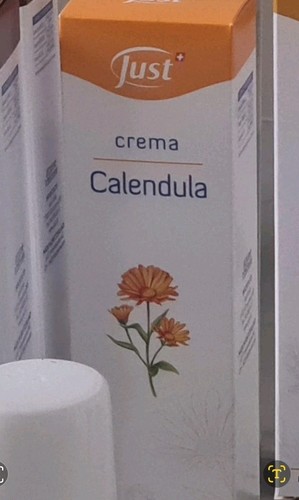Calendula