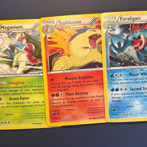 Feraligatr 119 meganium - 17/119,