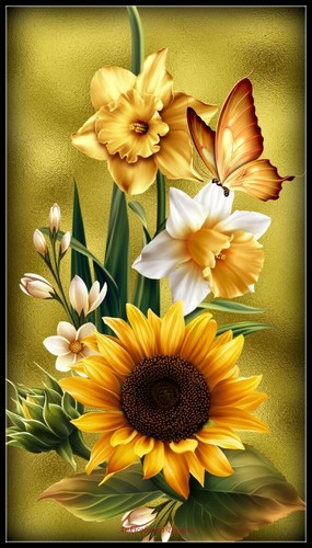Farfalla girasole - di,