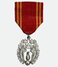 Medaglia d'argento al merito