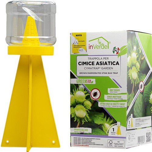 Trappola per cimice asiatica - cimice,