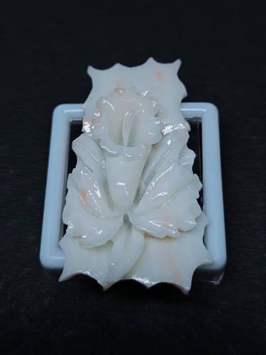 Corallo forma fiore - forma, di