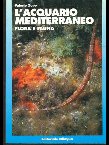 Acquario mediterraneo flora - mediterraneo.,