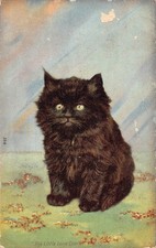 B459 Animali 1905 Il Piccolo