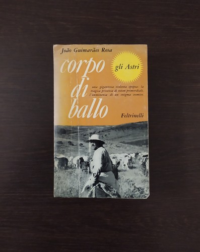 Joao guimaraes rosa - joao, corpo