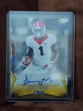 Bozza foglia 2018 Sony Michel