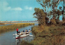 Cartolina Siracusa Fiume Ciane