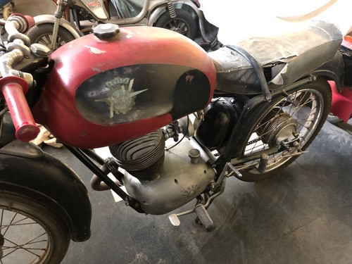 Augusta 125 1958 moto - cc,