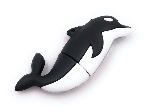 Delfino pesce ozean - ozean, in