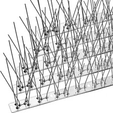 Dissuasori Piccioni,Spuntoni