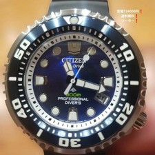 Citizen Professional Divers