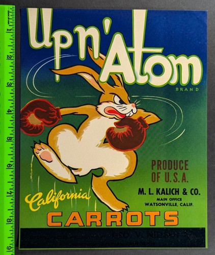 Vintage atom california - vintage,