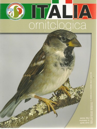 Italia ornitologica aprile - ornitologica, -aprile