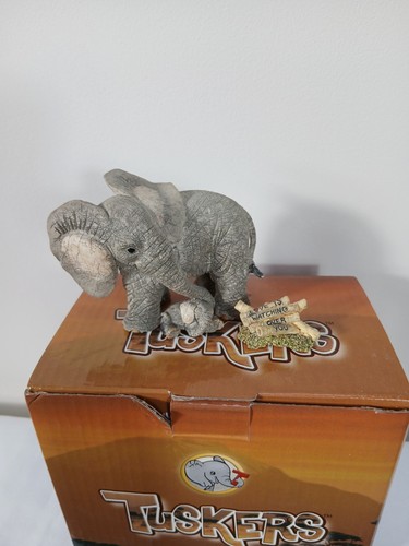 Tuskers love watching - "love, is…