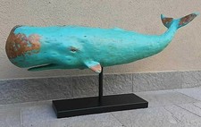 CAPODOGLIO BALENA EFFETTO