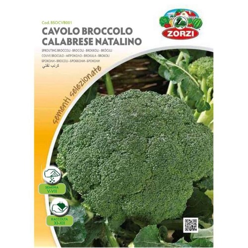 Semi cavolo broccolo calabrese - semi,