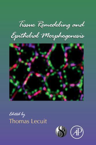 Tissue remodeling and - tissue,