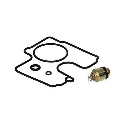 Kit revisione carburatore - kit,
