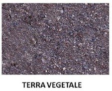 TERRA VEGETALE per giardini e