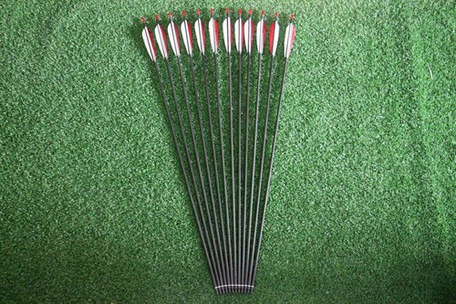 12pz freccia carbonio - freccia,