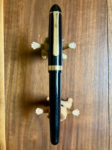Penna stilografica pilot - stilografica,