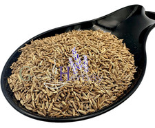 Semi essiccati di cumino 20 g