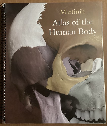 Martini atlas the human - martini's,