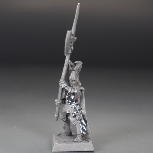 Alti elfi guardia della - alti, elfi,
