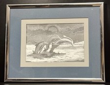 Manifestazioni Delfino