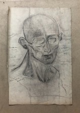 Disegno antico, studio di