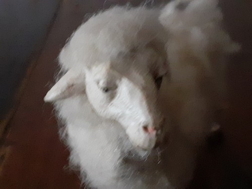 Pecora per presepe con lana - pecora,