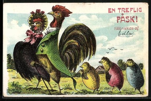 Gallo gallina con tre - gallo, e