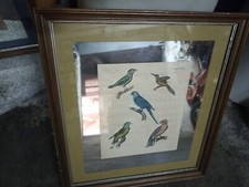  coppia QUADRO A SPECCHIO  VINTAGE DA COLLEZIONE 