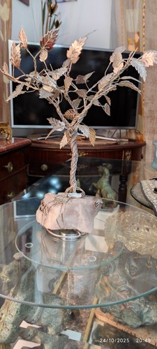 Albero ulivo pietra - albero, di