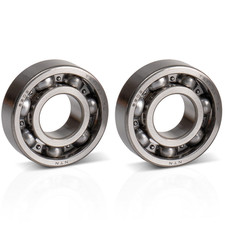 Malossi 2 Cuscinetti Albero