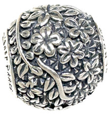 Pandora Disney Parks Epcot