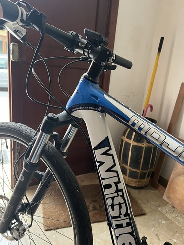 Mountain bike - mountain,