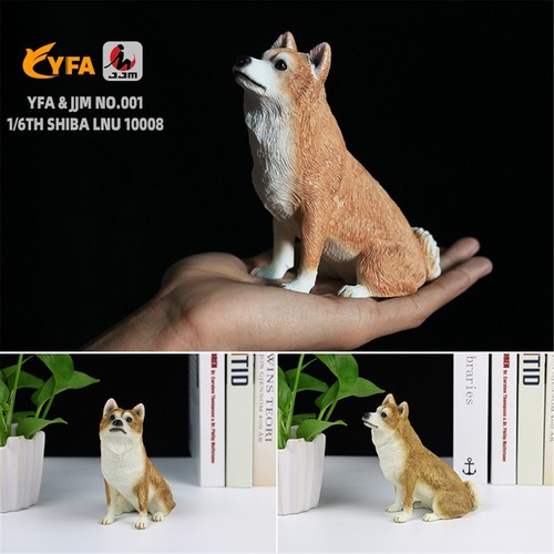 Jjm giapponese shiba - shiba, inu
