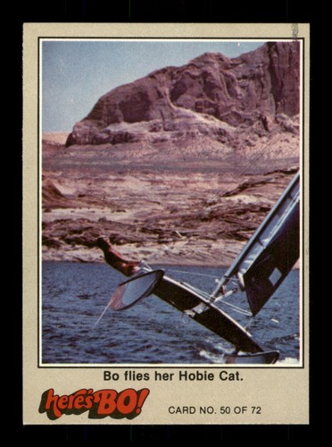Vola suo gatto hobie - gatto, hobie.