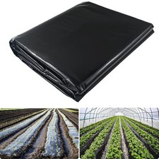 Bache Noire Agricole Bache